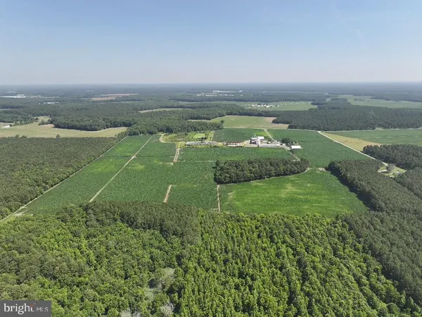an aerial view of a houses with outdoor space and trees
