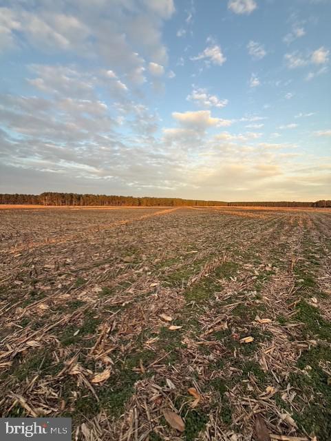 641 Critcher Road Pocomoke City, MD 21851 - Photo 13 of 32