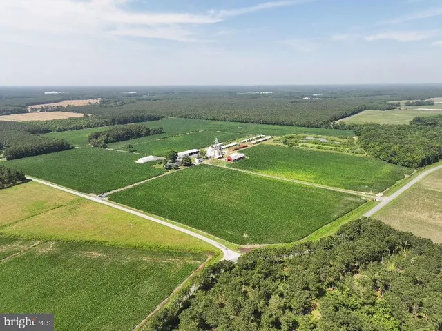 $1,250,000 | 641 Critcher Road, Pocomoke City, MD 21851