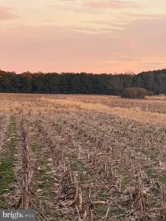 view of city and ocean