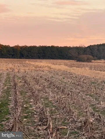 $1,250,000 | 641 Critcher Road, Pocomoke City, MD 21851