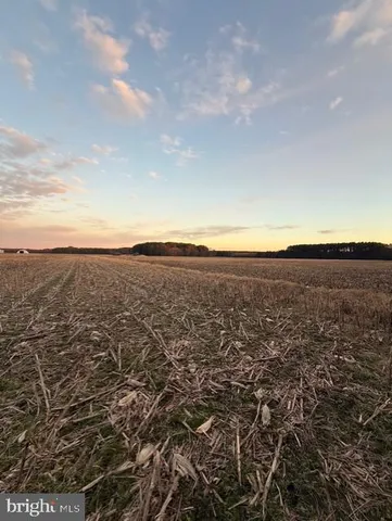 $1,250,000 | 641 Critcher Road, Pocomoke City, MD 21851