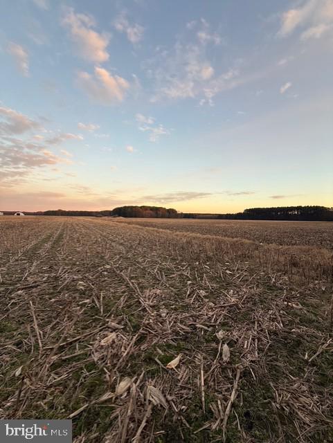 641 Critcher Road Pocomoke City, MD 21851 - Photo 29 of 32