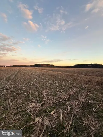 $1,250,000 | 641 Critcher Road, Pocomoke City, MD 21851