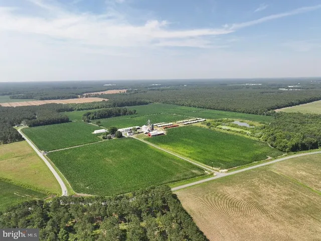 $1,250,000 | 641 Critcher Road, Pocomoke City, MD 21851