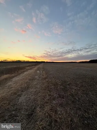 $1,249,990 | 641 Critcher Road, Pocomoke City, MD 21851