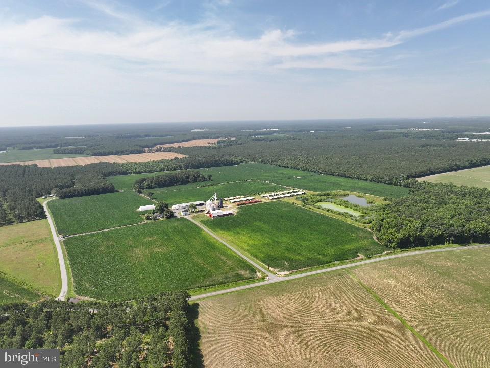 641 Critcher Road Pocomoke City, MD 21851 - Photo 4 of 32