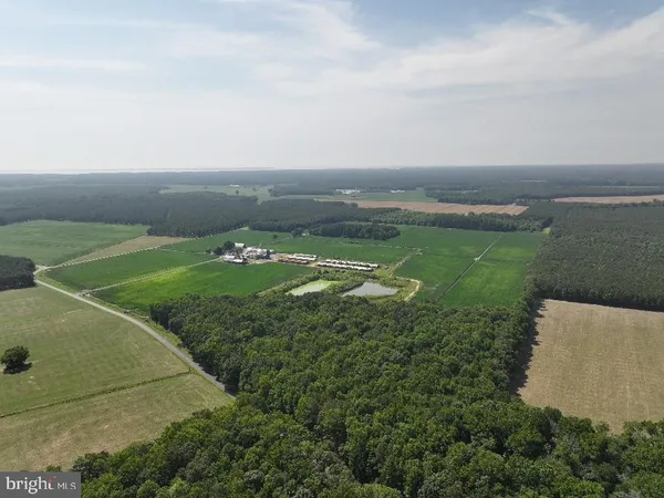 a view of a golf course with green space