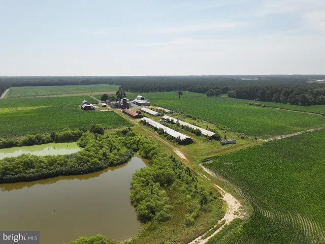 $1,250,000 | 641 Critcher Road, Pocomoke City, MD 21851