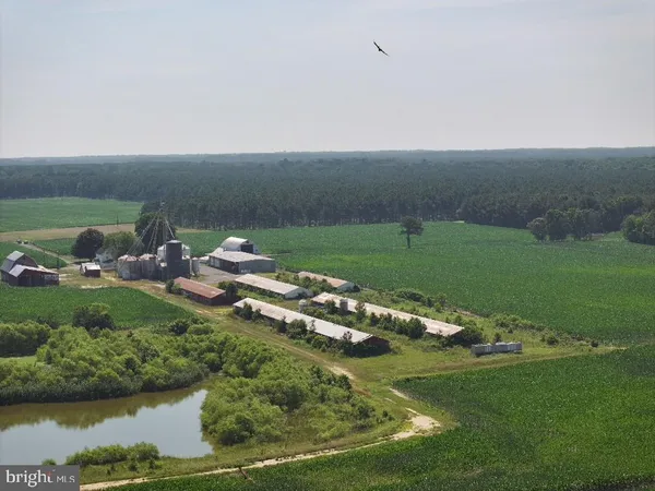 an aerial view of a house with a yard and lake view