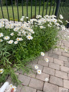 4878 Rockefeller Road Owasco, NY 13021 - Photo 20 of 40