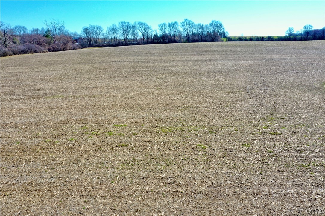 4878 Rockefeller Road Owasco, NY 13021 - Photo 9 of 40