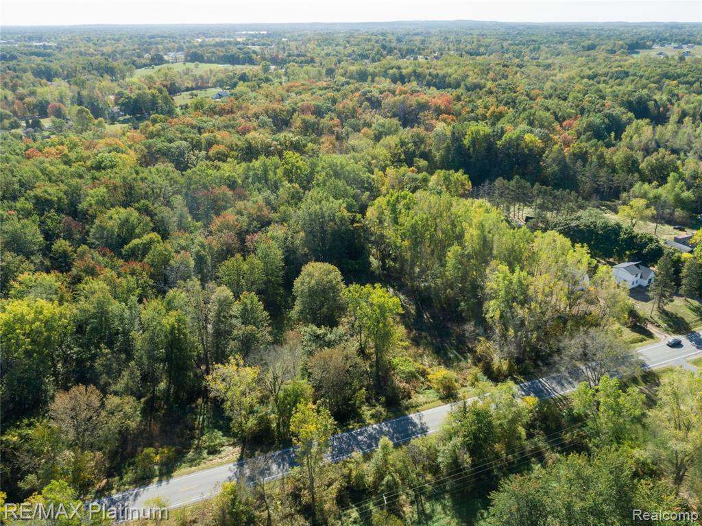 12111 Linden Road Linden, MI 48451 - Photo 5 of 12