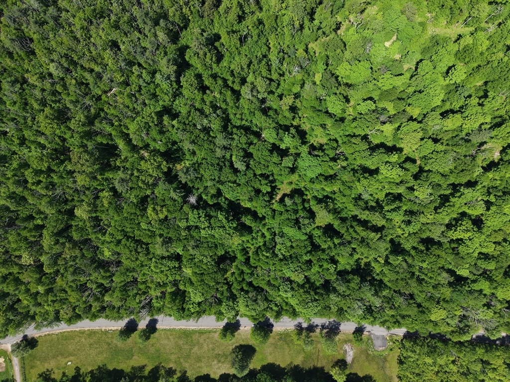 102 Hollow Road Wales, MA 01081 - Photo 4 of 8