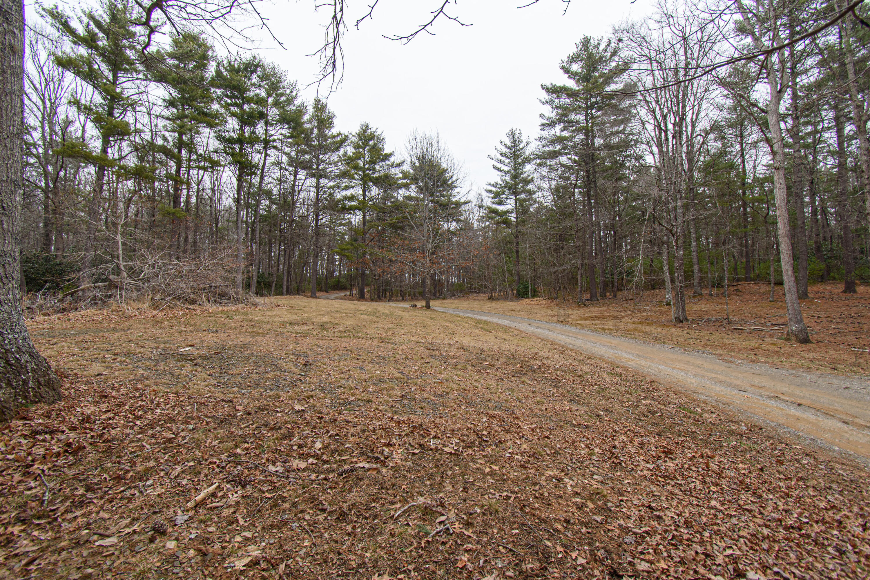 162 Mountain Laurel Way Northeast Check, VA 24072 - Photo 37 of 49 a backyard of a house with lots of green space