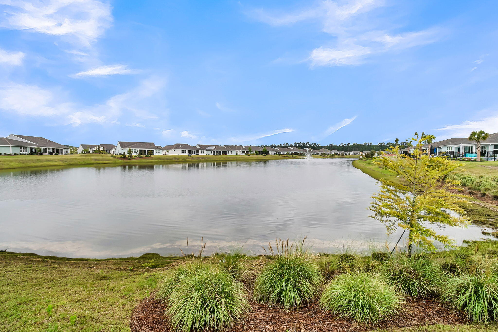 753 Spring Highlands Drive Summerville, SC 29486 - Photo 57 of 60