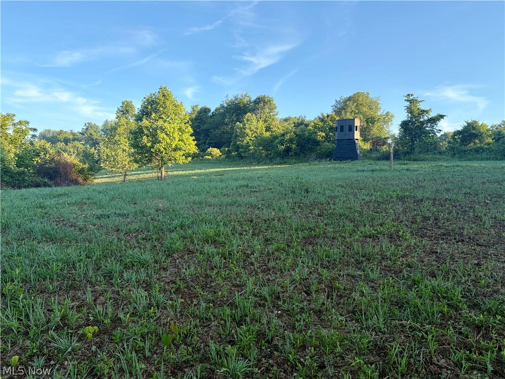 Sykes Ridge Road Clarington, OH 43915 - Photo 35 of 42