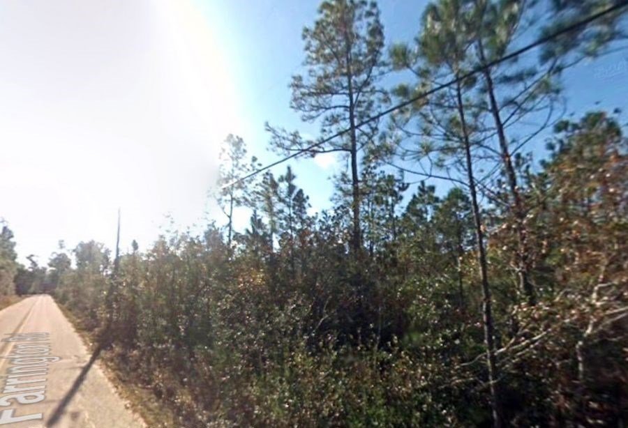 1825 Vincent Way Talking Rock, GA 30175 - Photo 2 of 12