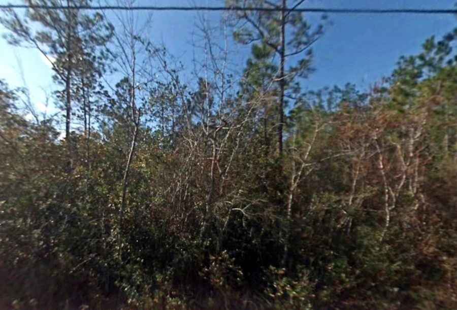 1825 Vincent Way Talking Rock, GA 30175 - Photo 3 of 12