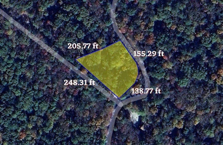 1825 Vincent Way Talking Rock, GA 30175 - Photo 4 of 12