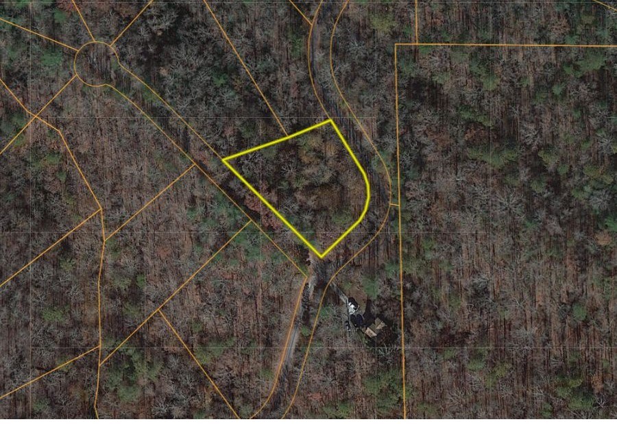 1825 Vincent Way Talking Rock, GA 30175 - Photo 5 of 12