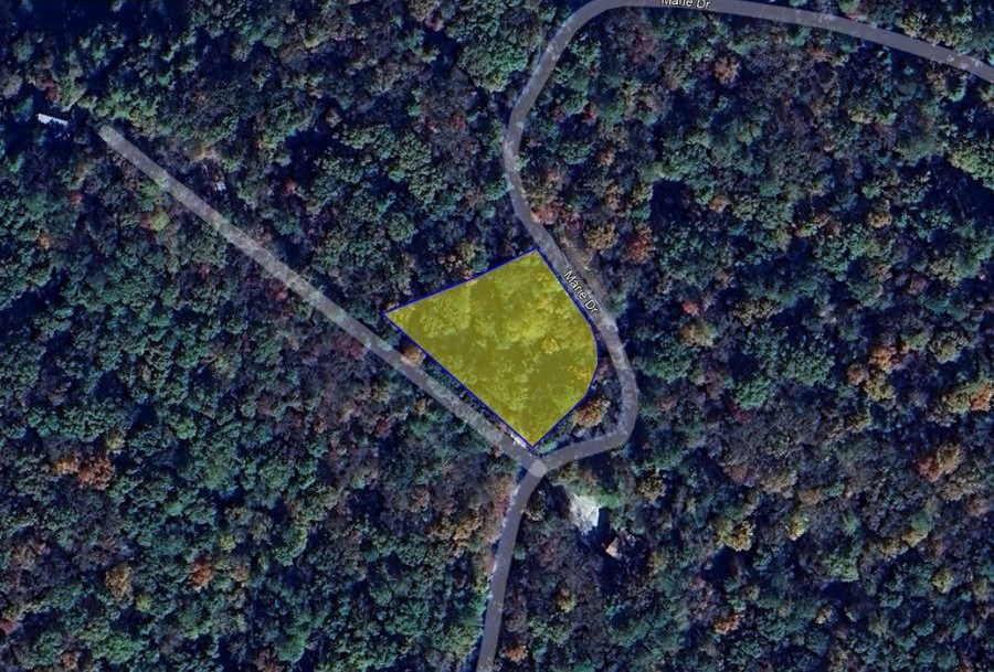 1825 Vincent Way Talking Rock, GA 30175 - Photo 6 of 12