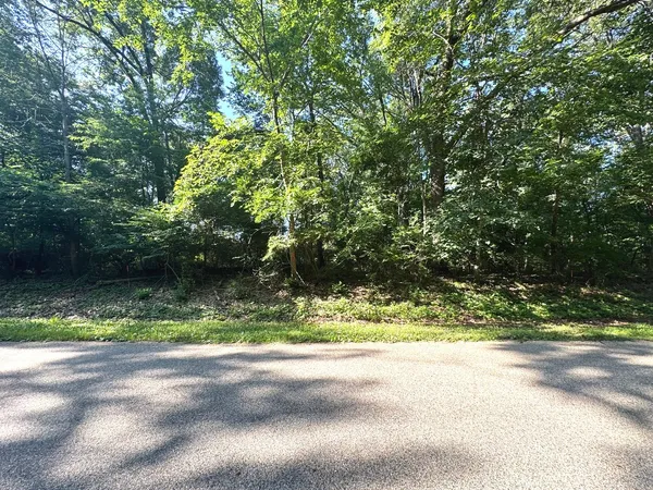 $2,500 | Lot 90 Lake Thunderbird Drive, Putnam, IL 61560