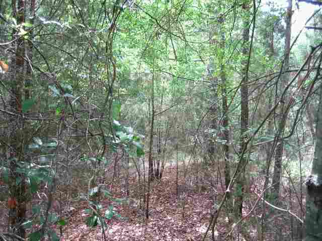 ? McCall Road Honea Path, SC 29654 - Photo 1 of 7 Gallery Image 1