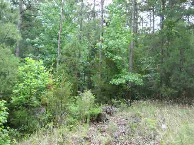 ? McCall Road Honea Path, SC 29654 - Photo 3 of 7 Gallery Image 3