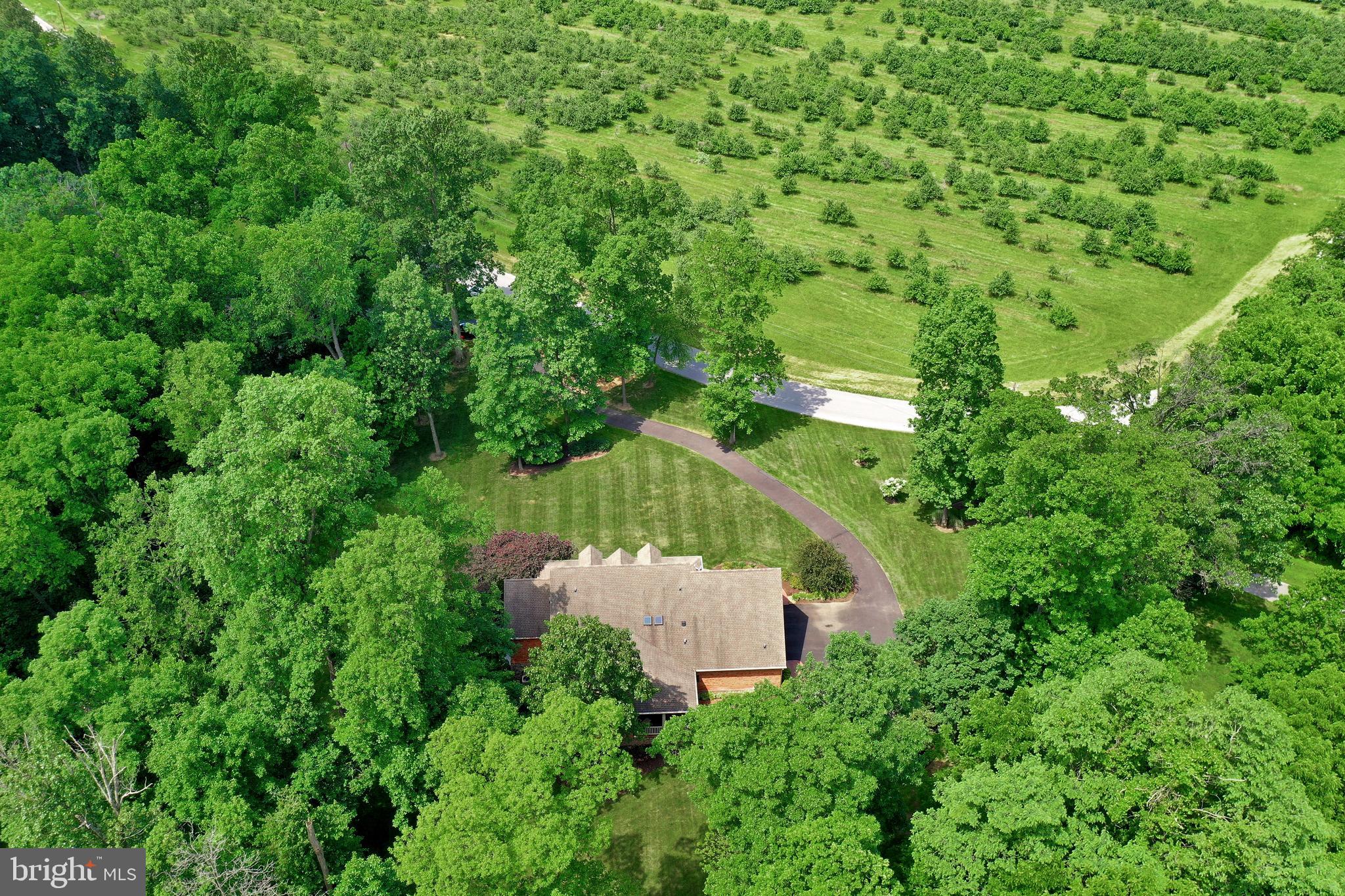 92 Earle Road Charles Town, WV 25414 - Photo 77 of 82 Gallery Image 77