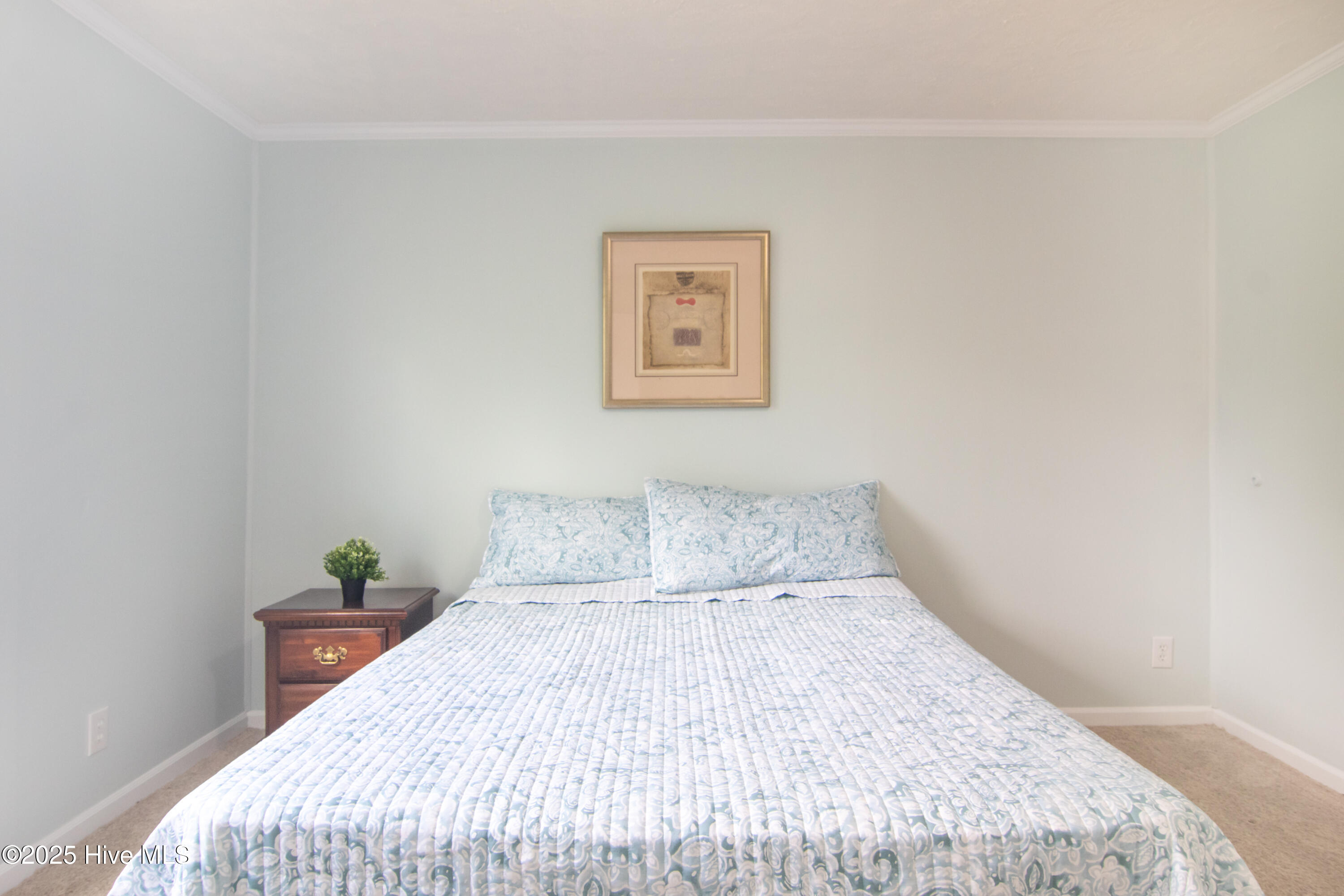 202 McGregor Road Castle Hayne, NC 28429 - Photo 11 of 27 Master Bedroom