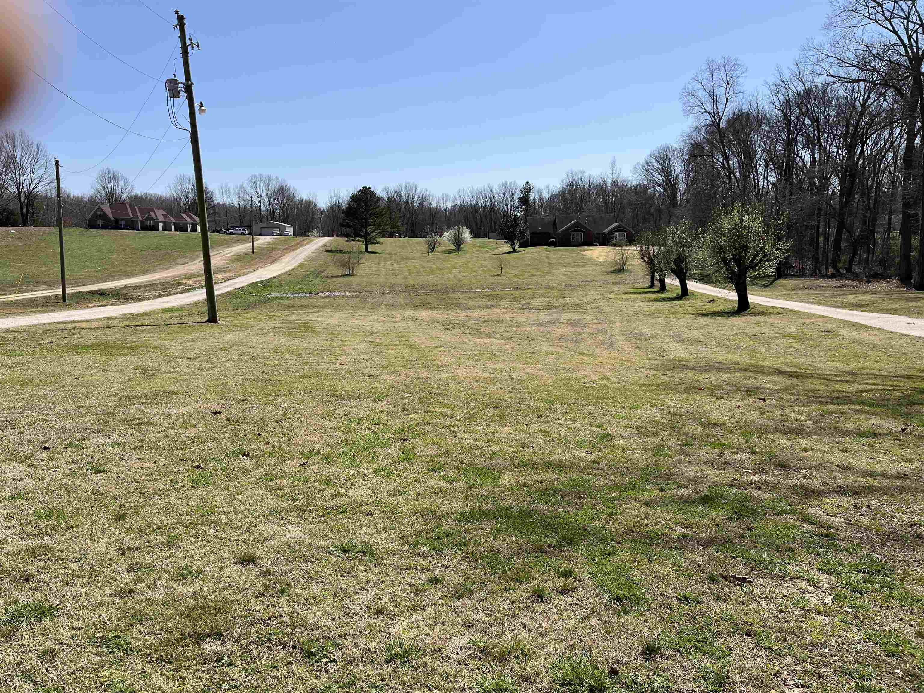 3595 Lucy Road Millington, TN 38053 - Photo 1 of 10 View of yard