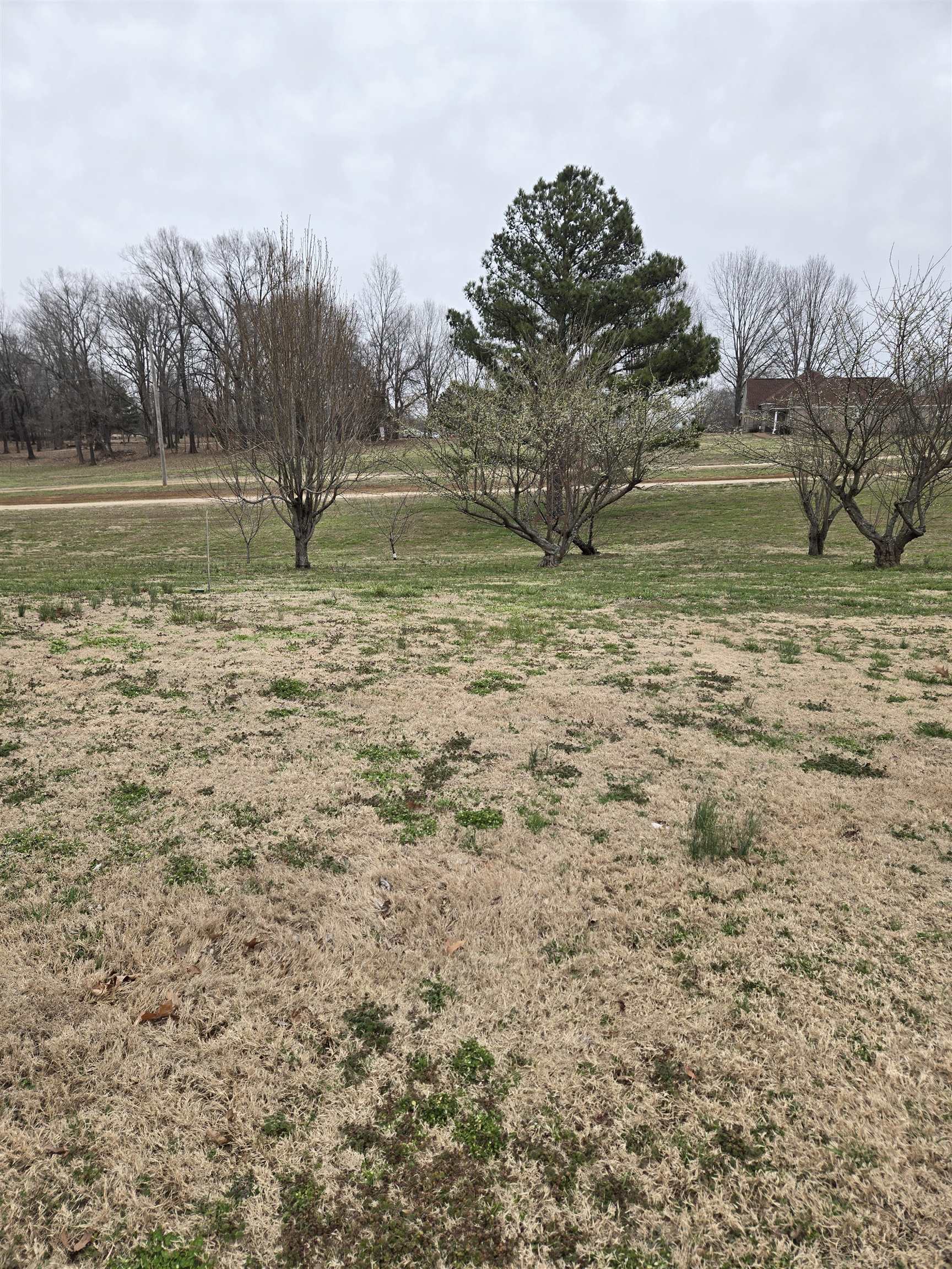 3595 Lucy Road Millington, TN 38053 - Photo 7 of 10 View of yard featuring a rural view