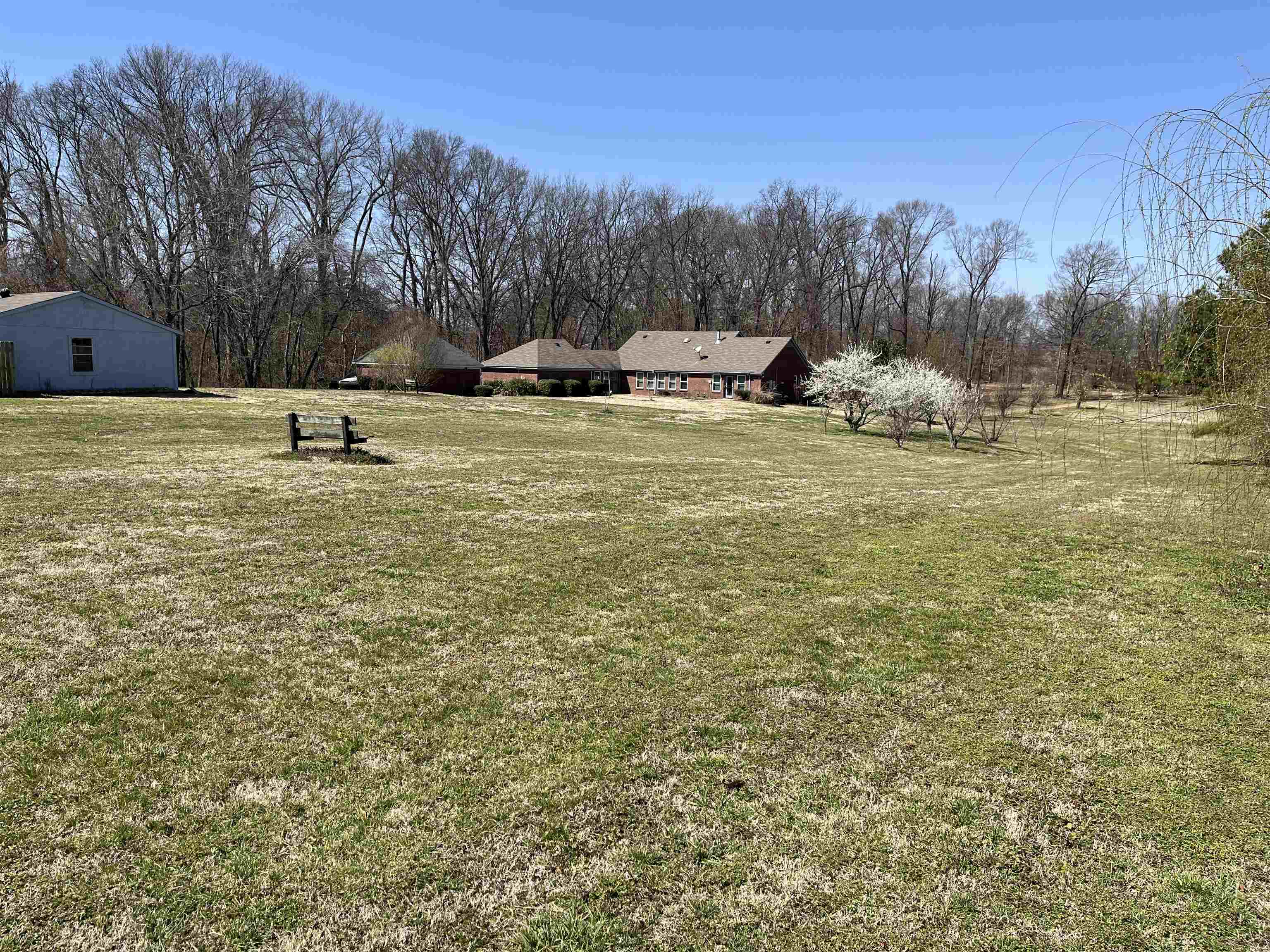 3595 Lucy Road Millington, TN 38053 - Photo 10 of 10 View of yard