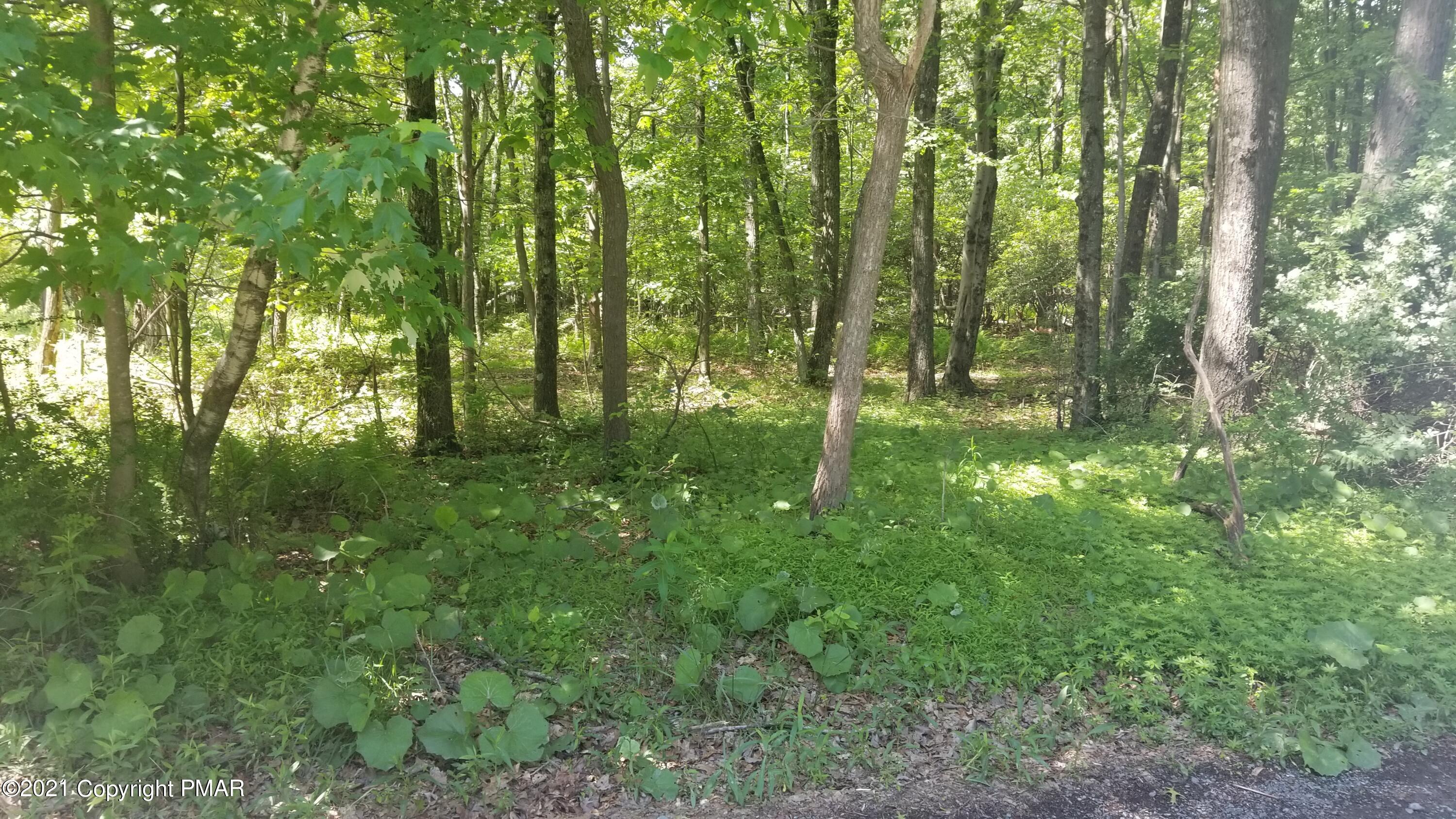 710 Johns Road Effort, PA 18330 - Photo 3 of 7 20210605_151409