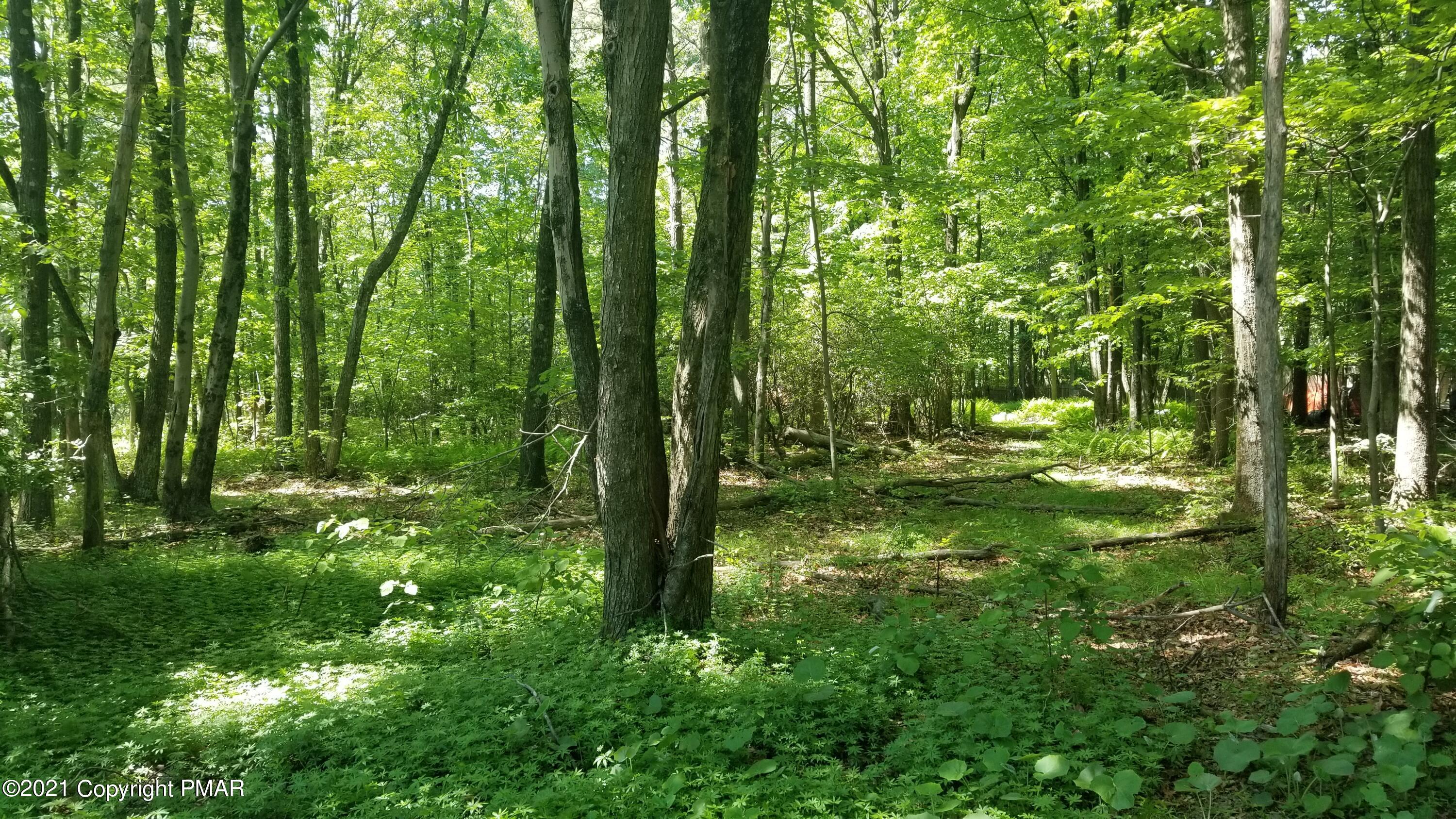 710 Johns Road Effort, PA 18330 - Photo 5 of 7 20210605_151505