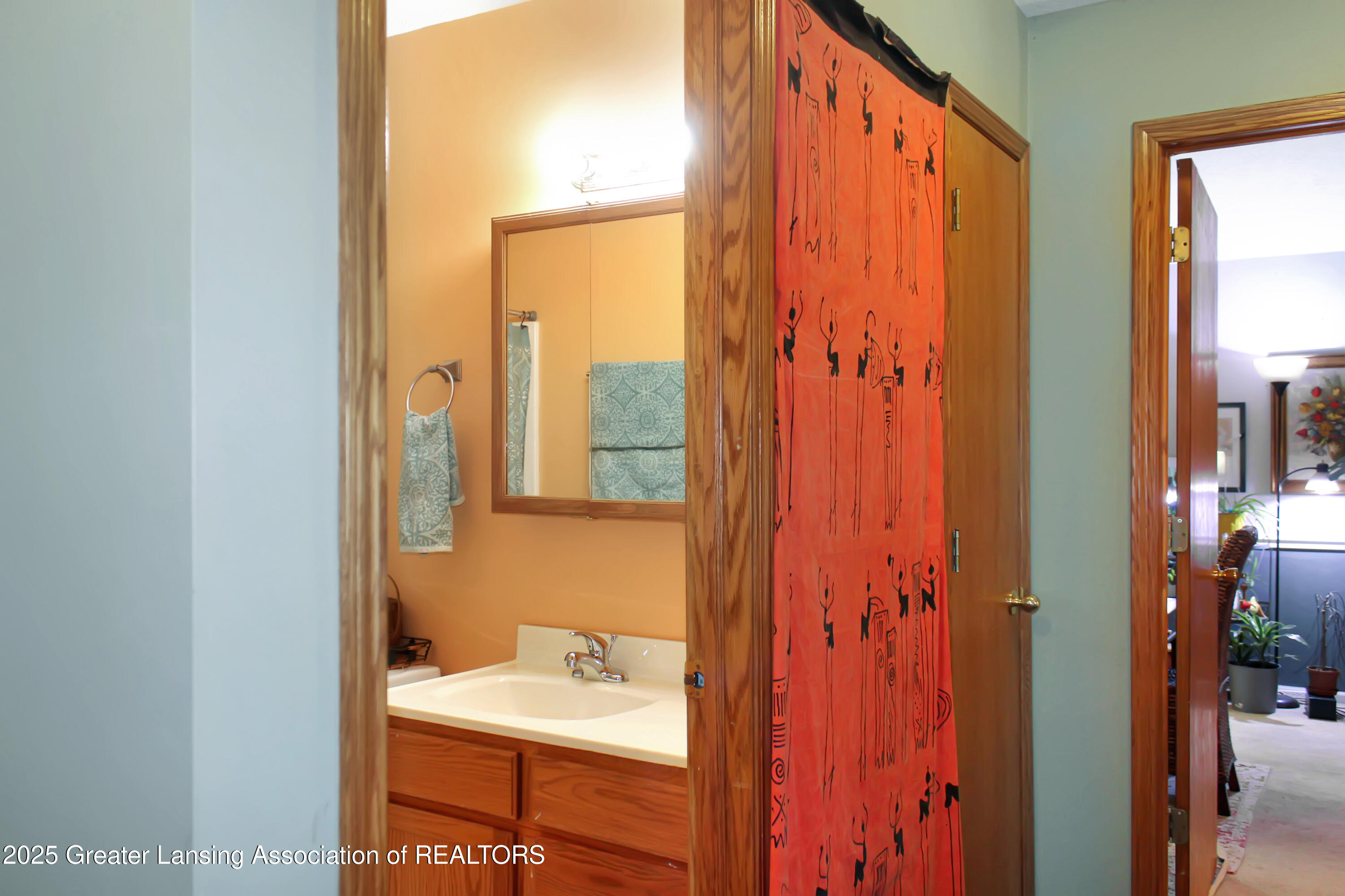 10048 Roblyn Circle Dimondale, MI 48821 - Photo 19 of 39 Full Bathroom