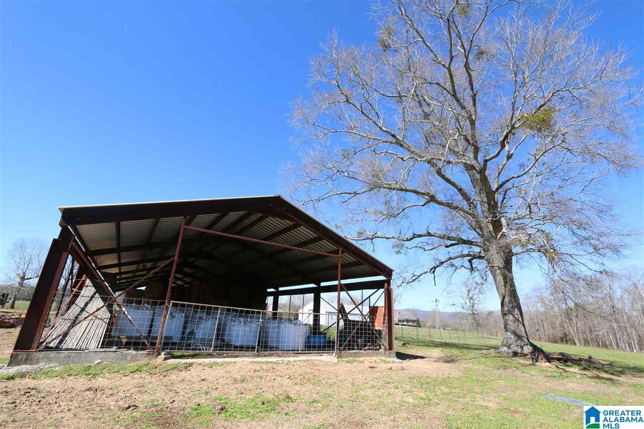 0 Double Bridge Road, Unit 286 Ashville, AL 35953 - Photo 17 of 34