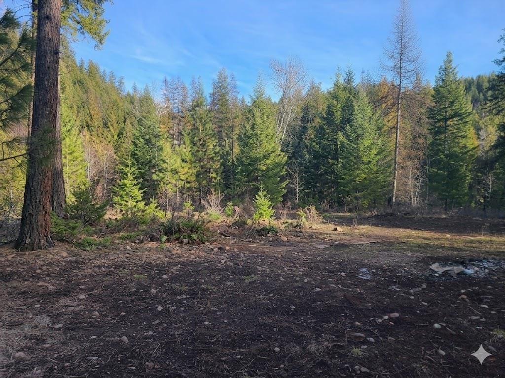 2584 F Bridgeman-Rettinger Road Kettle Falls, WA 99141 - Photo 8 of 21