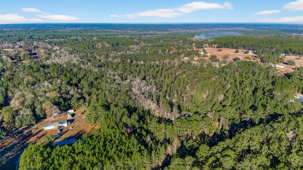 0 Do Hi Way Hilliard, FL 32046 - Photo 17 of 32 Gallery Image 17