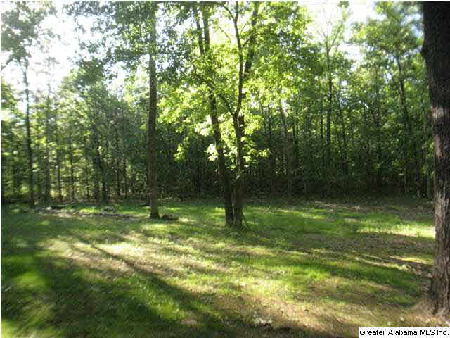 307 Chestnut Lane Alabaster, AL 35007 - Photo 21 of 25