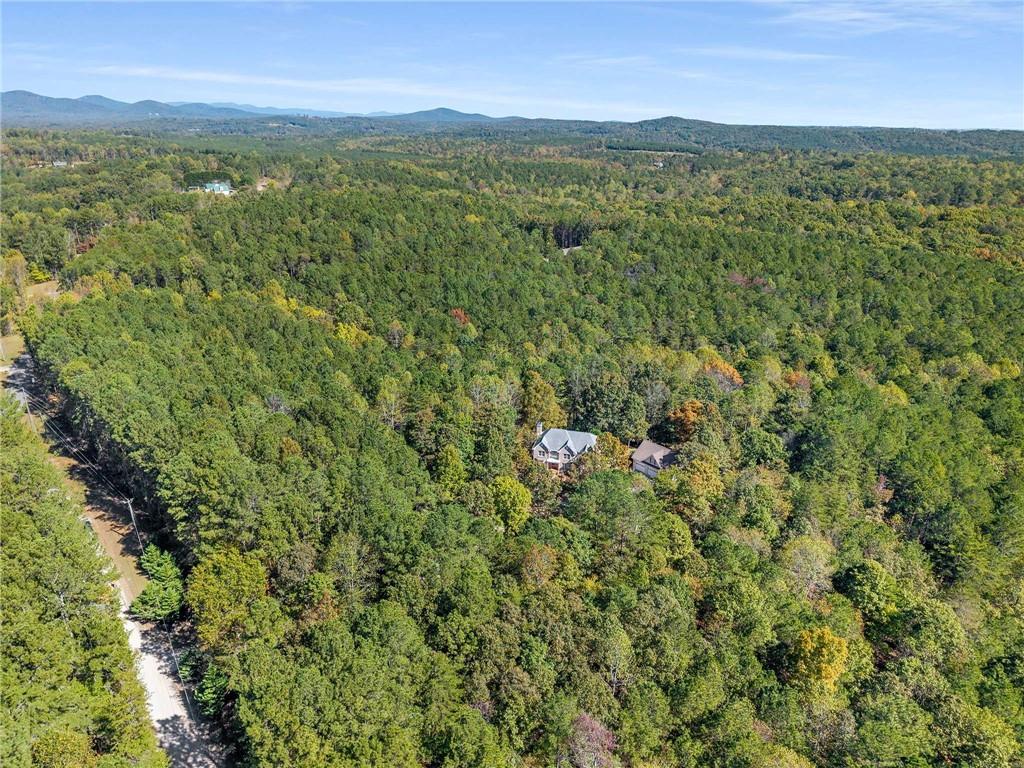 4200 Cherry Grove Road Ball Ground, GA 30107 - Photo 63 of 64