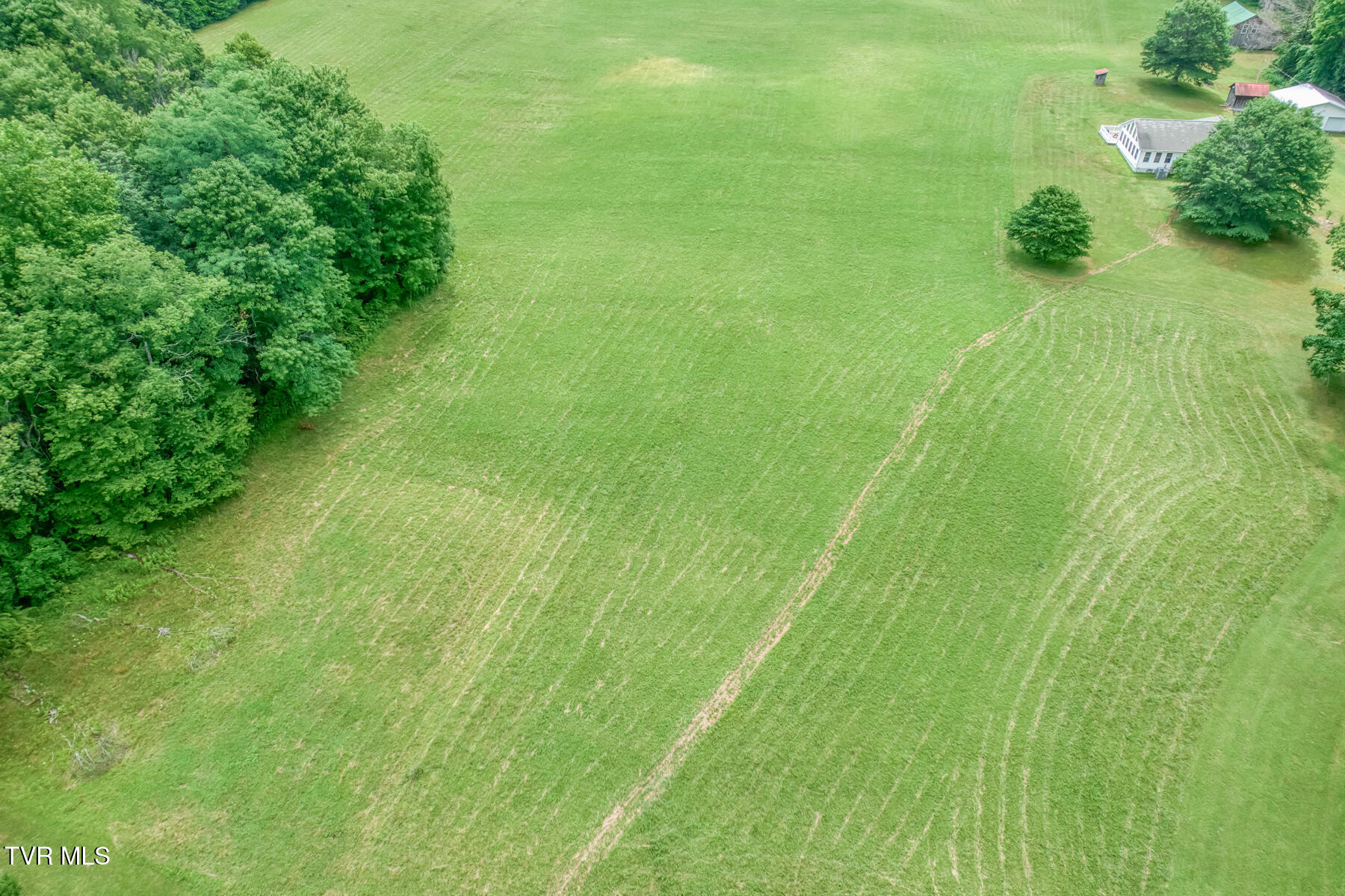 1678 Sluder Road Shady Valley, TN 37688 - Photo 7 of 110 1678 Sluder Rd-7