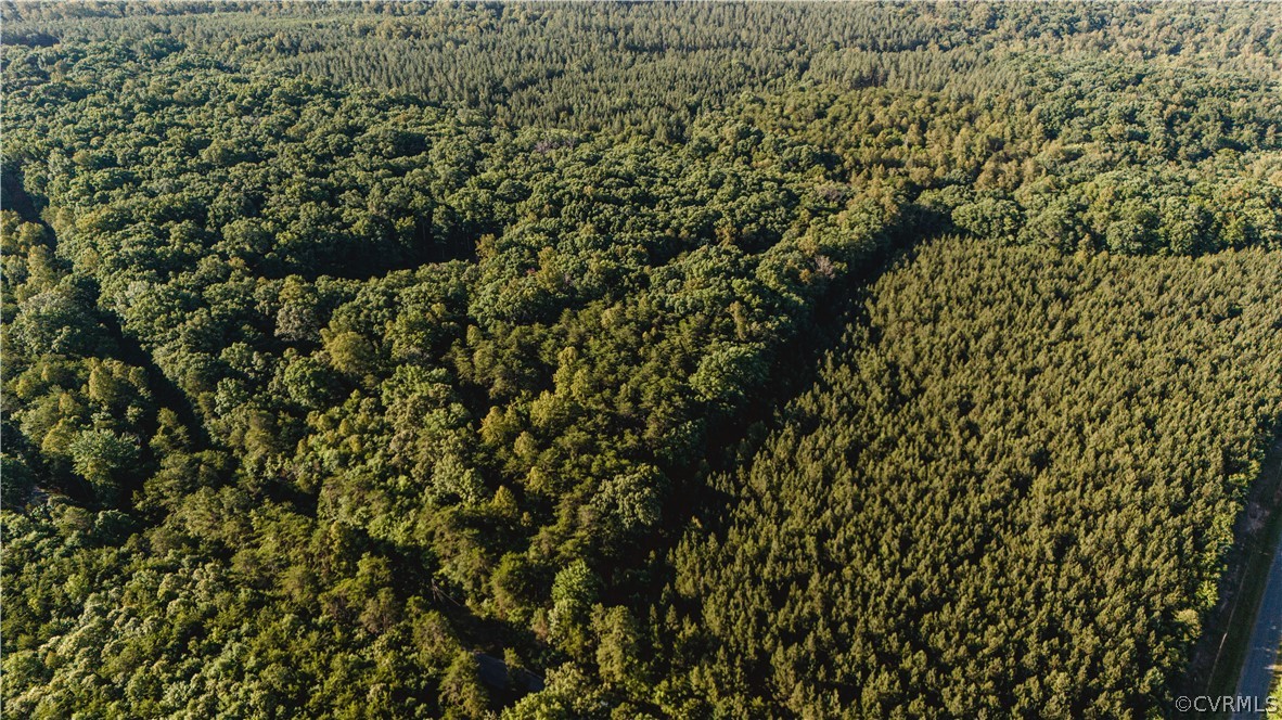 1 Oak Hill Road Buckingham, VA 23921 - Photo 2 of 11 a view of a house with a lush green forest