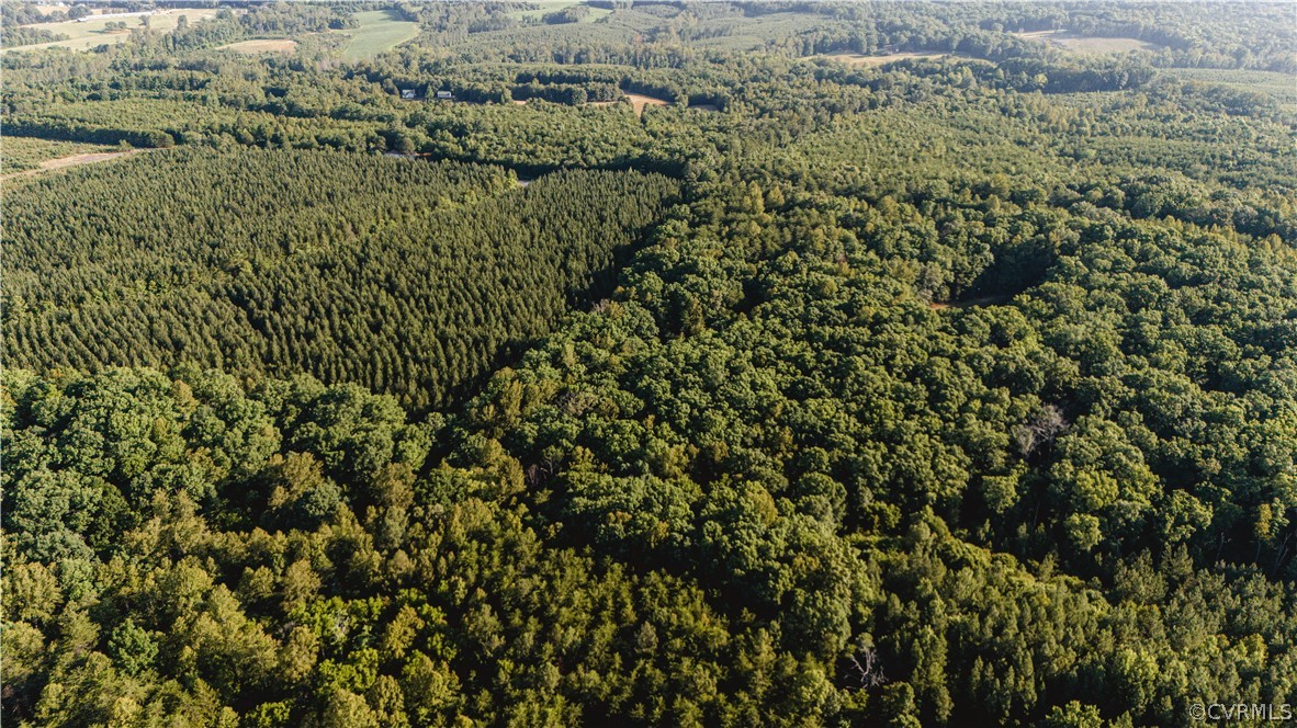 1 Oak Hill Road Buckingham, VA 23921 - Photo 4 of 11 a view of a bunch of trees and bushes
