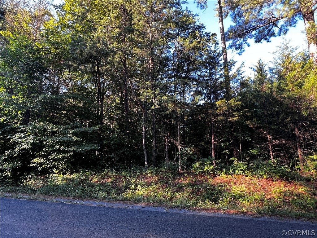 1 Oak Hill Road Buckingham, VA 23921 - Photo 8 of 11 a view of backyard with green space