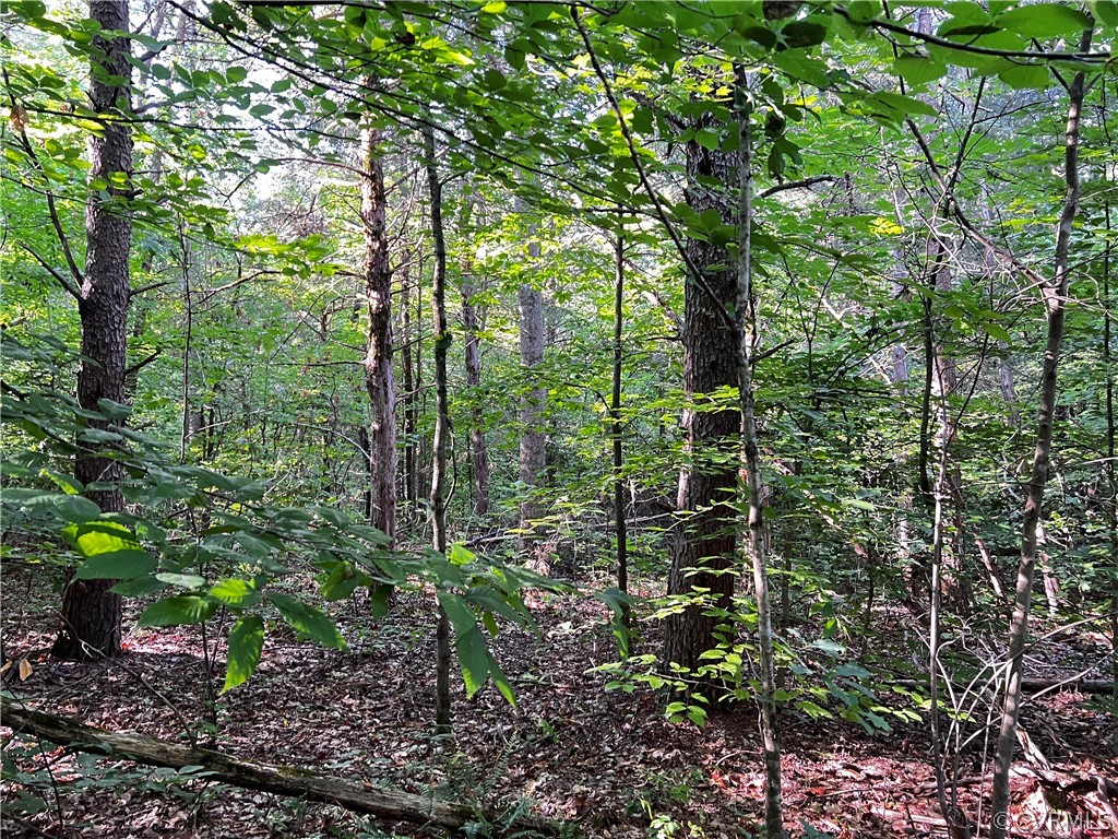 1 Oak Hill Road Buckingham, VA 23921 - Photo 10 of 11 a view of forest