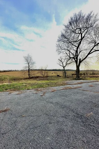 a view of a field with large trees