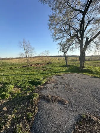 a big yard with lots of green space
