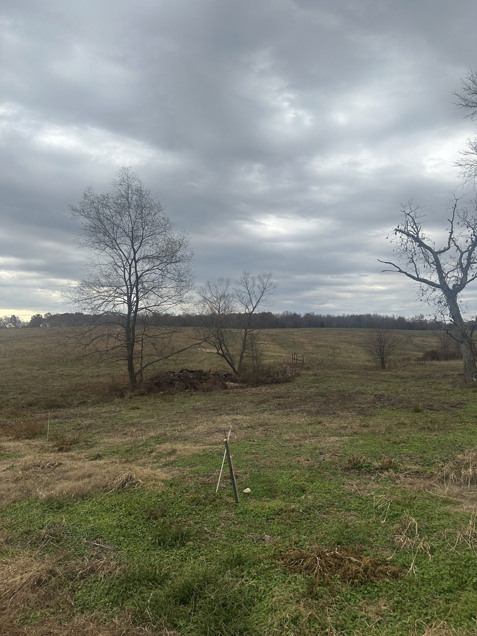 46 Caps Road Indian Mound, TN 37079 - Photo 3 of 6 a view of a field of an ocean